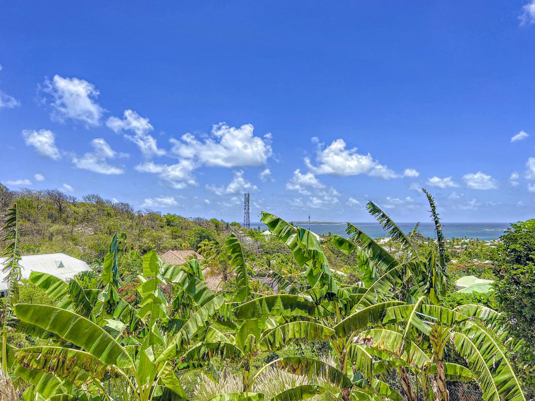 Location villa à la Baie Orientale Saint Martin_ Vue d'ensemble - 33